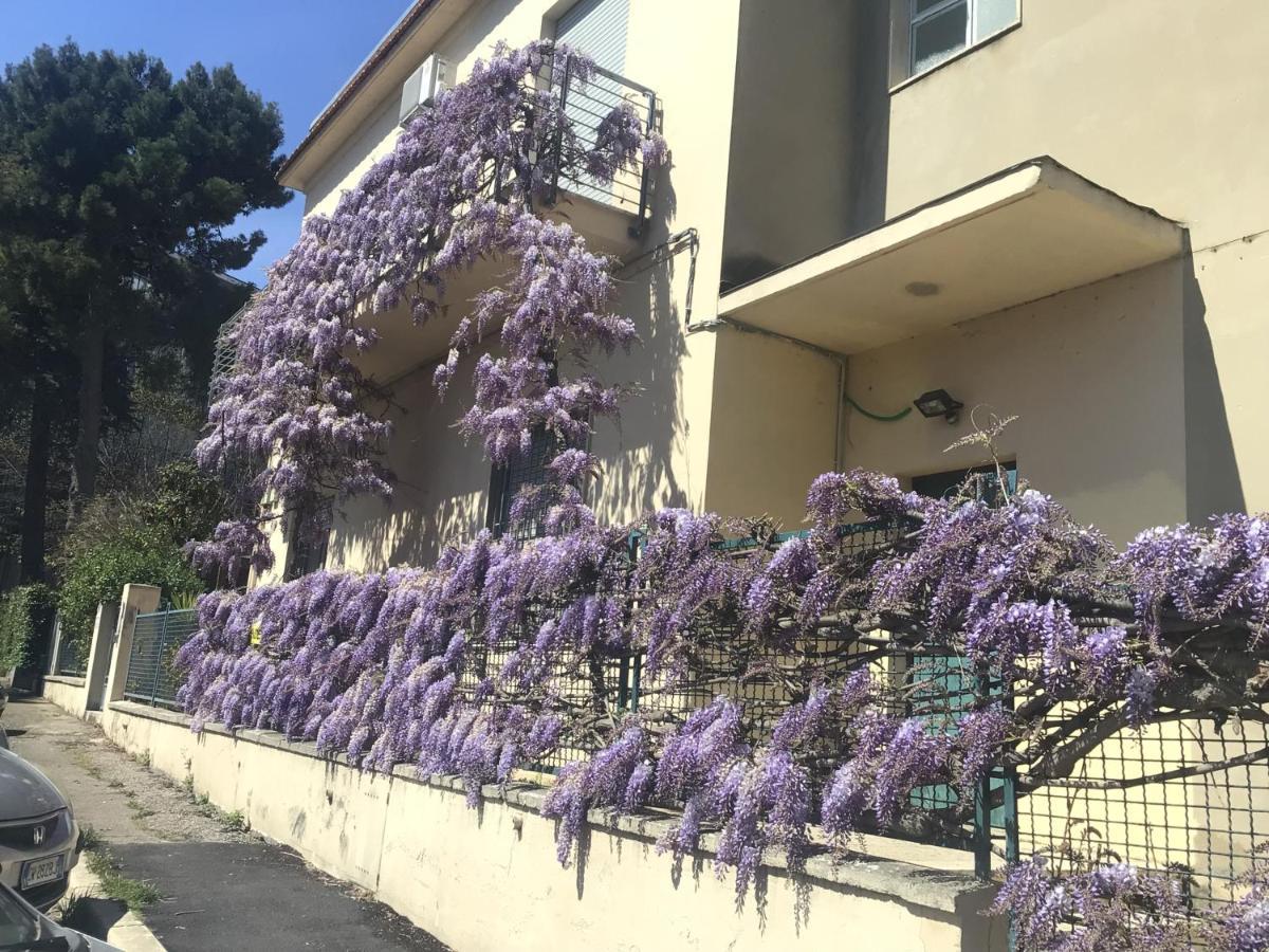 B&B Il Glicine Pescara Centro Экстерьер фото