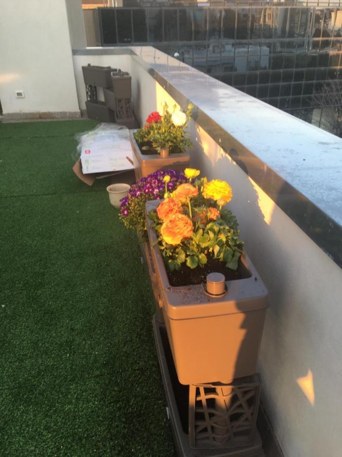 B&B Il Glicine Pescara Centro Экстерьер фото